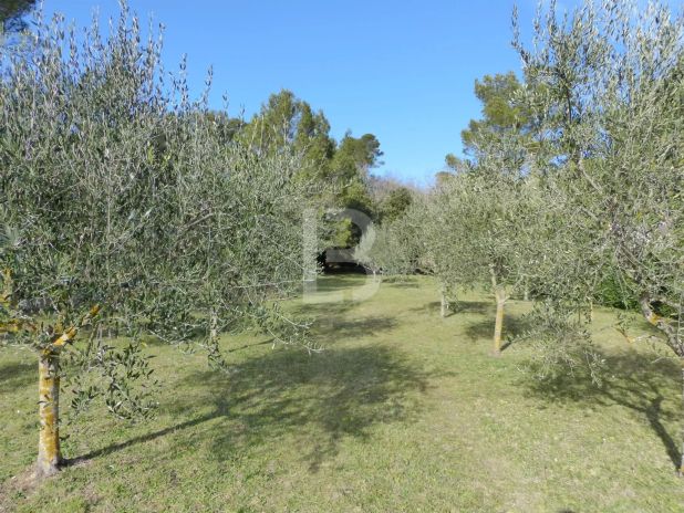 La Roquebrussanne Terrain 0 Pièces, 1783 m²
